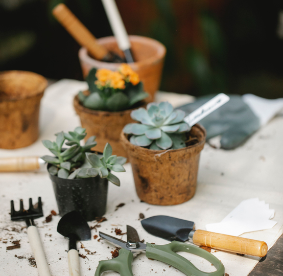 Simple Tools for a Grave Job