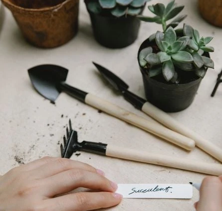 Simple Tools for a Grave Job
