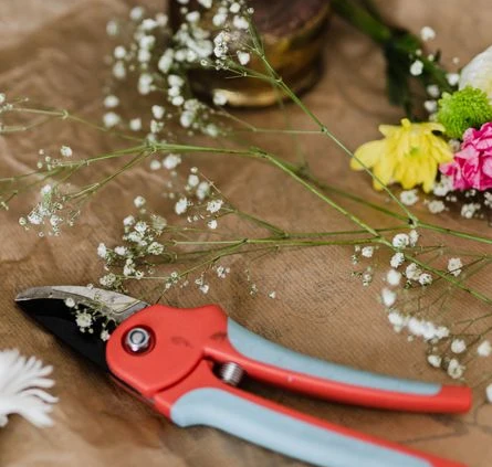 Simple Tools for a Grave Job